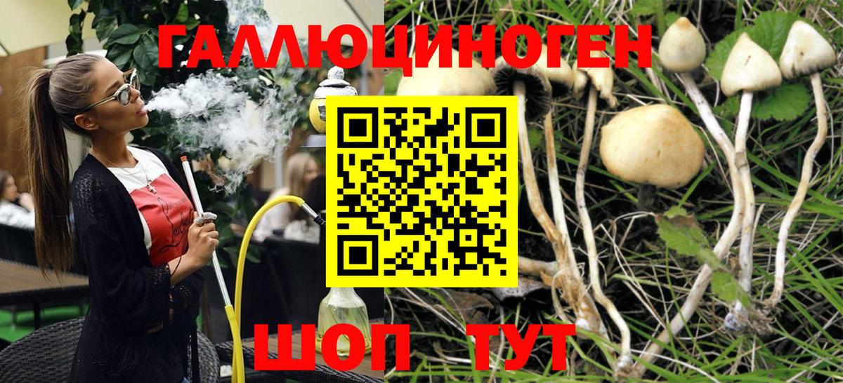 Шахты  дарнет шоп  Вход с VPN  Галлюциногенные грибы ЛСД  Псилоцибиновые грибы Psilocybe 